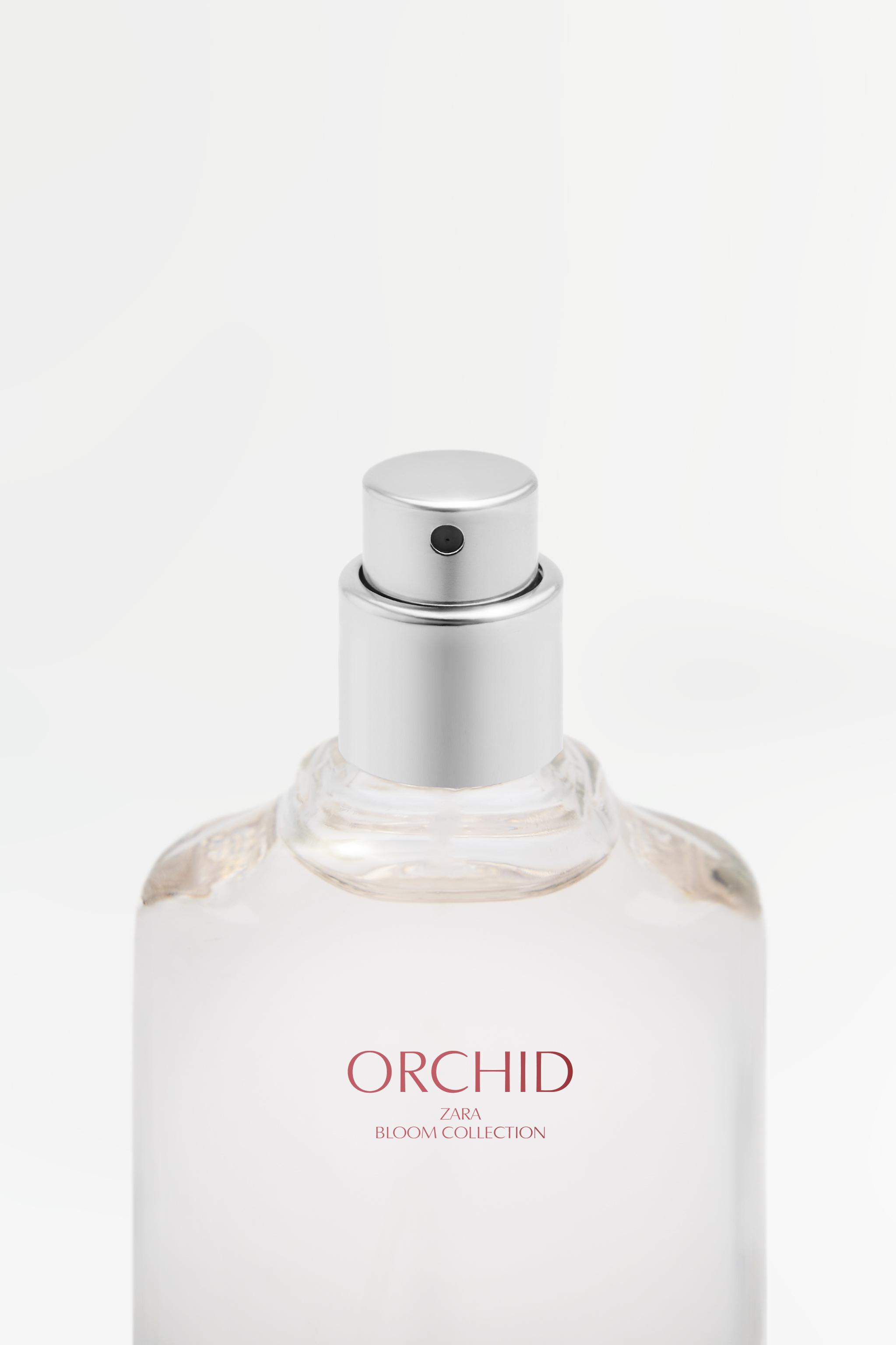 ORCHID EDP 30ML oz TINTED LEATHER ZARA South Africa