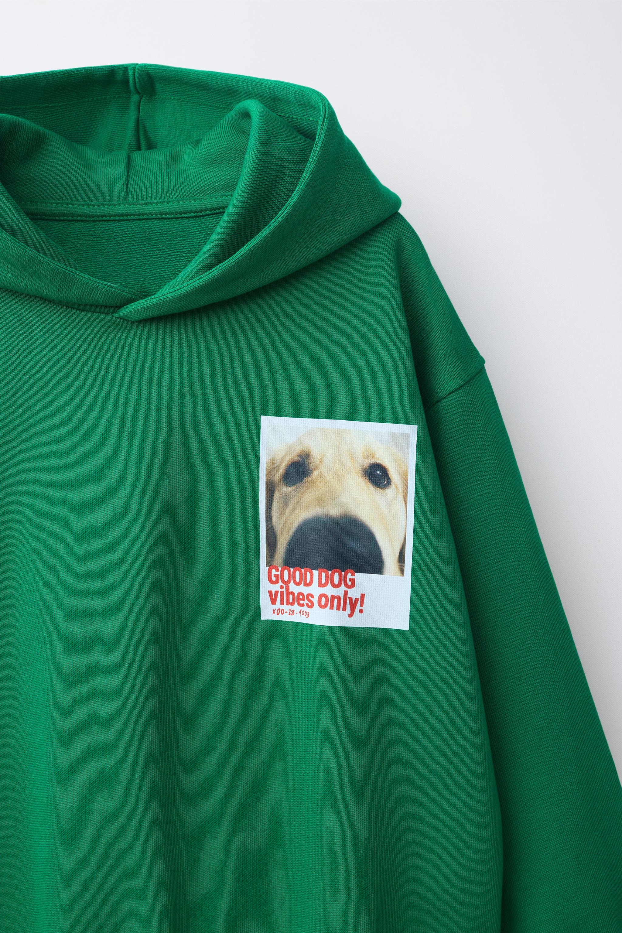Детские худи Zara DOG PHOTO — фото 3
