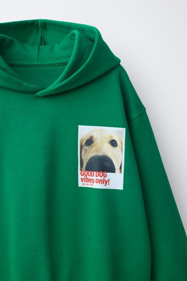 SWEAT À CAPUCHE PHOTO CHIEN - Vert de Zara