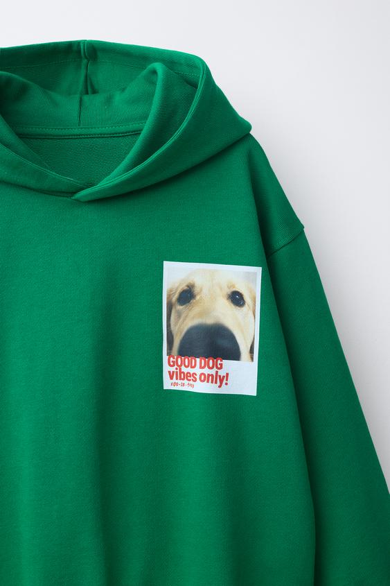 SWEAT À CAPUCHE PHOTO CHIEN - Vert de Zara - Image 2