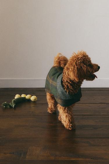 ペット用ウールコートグリーンZaraのペット用ウールコート - グリーン 
