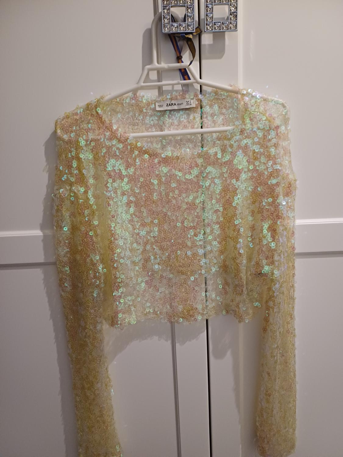 Long-sleeved cropped top with iridescent sequins on a hanger against a white wardrobe. Text: ZARA KNIT.