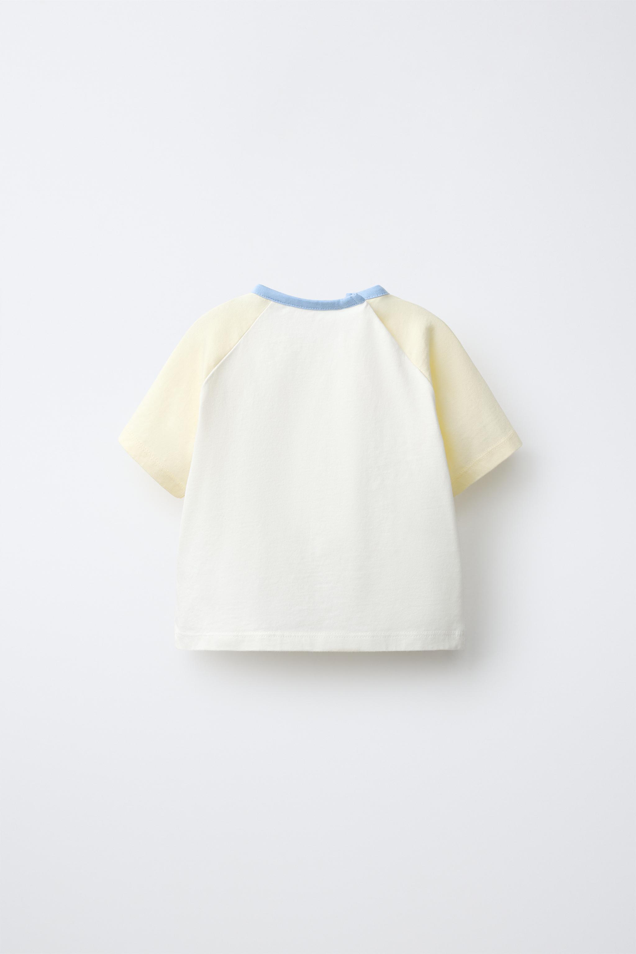 CONTRASTING RAGLAN SLEEVE T-SHIRT — Oyster-white