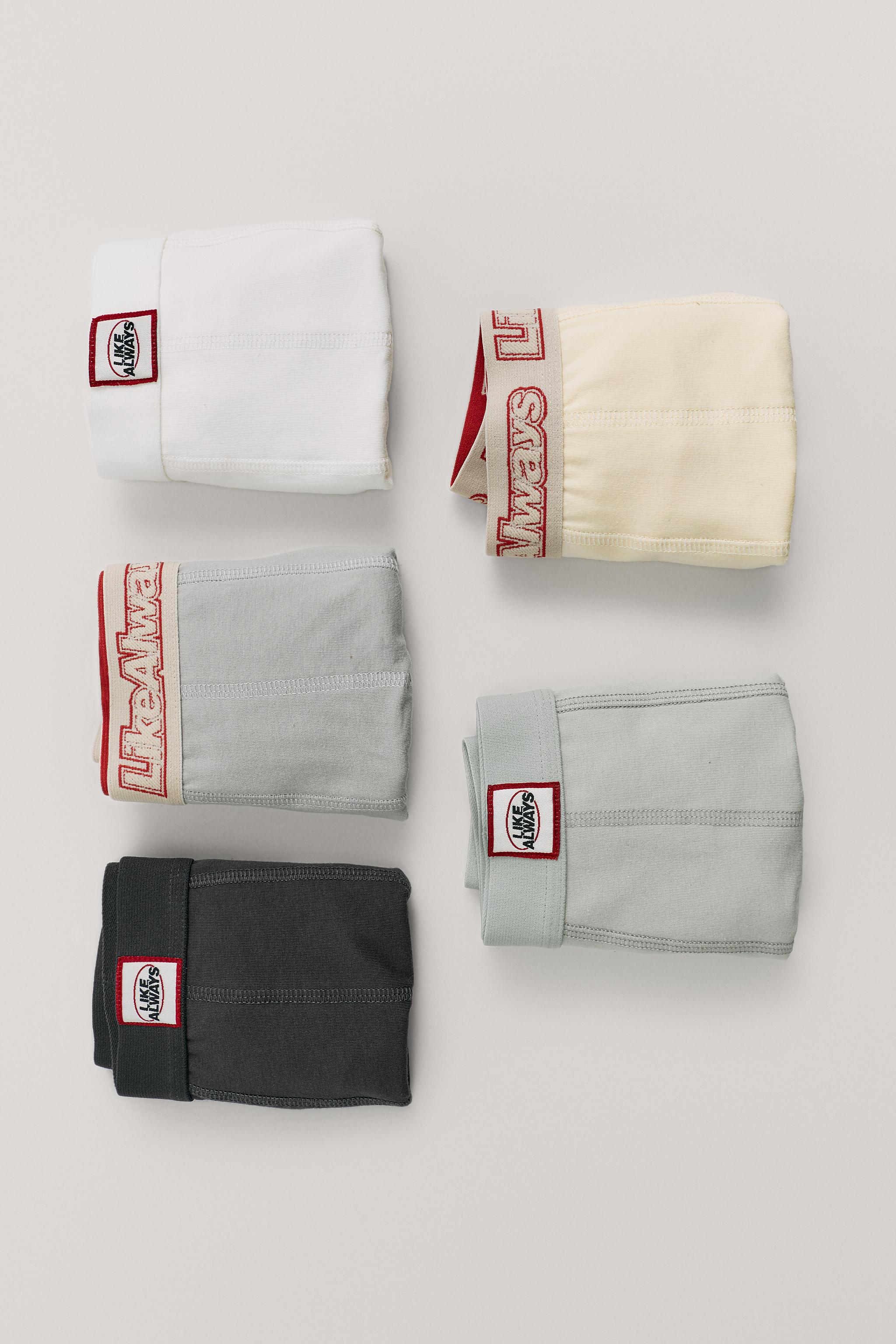 AGES 6-14 / FIVE-PACK OF LABELED BOXERS — Multicolored