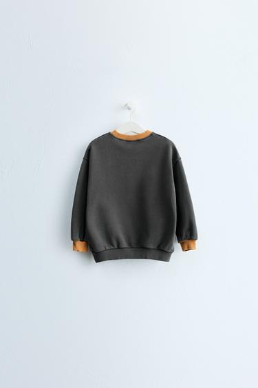 ZARA TIMELESS - PLAIN CONTRAST SWEATSHIRT — Anthracite grey 2