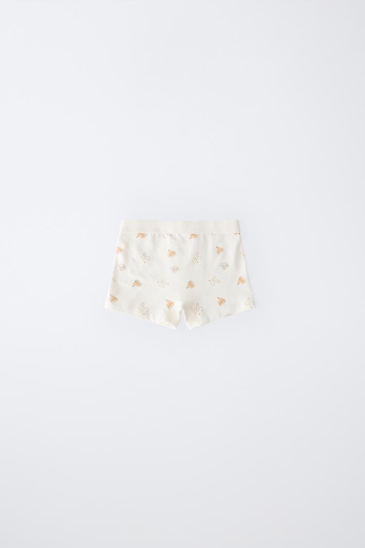 2-6 AÑOS/ PAQUETE DE 5 BOXERS CON ESTAMPADO DE CACHORRO 4