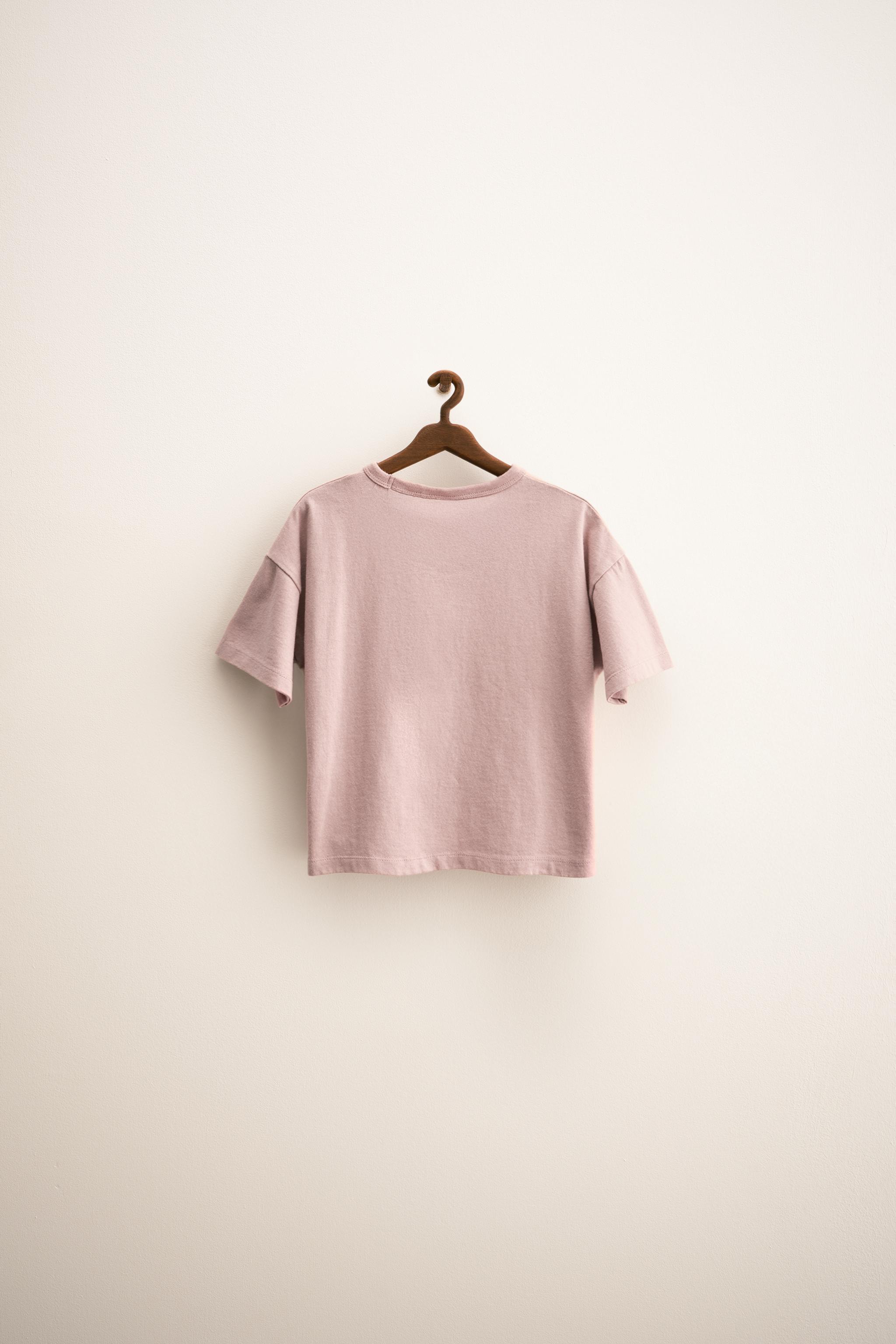 ZARA TIMELESS - ORFAYO © EMBROIDERED T-SHIRT - Brick | ZARA