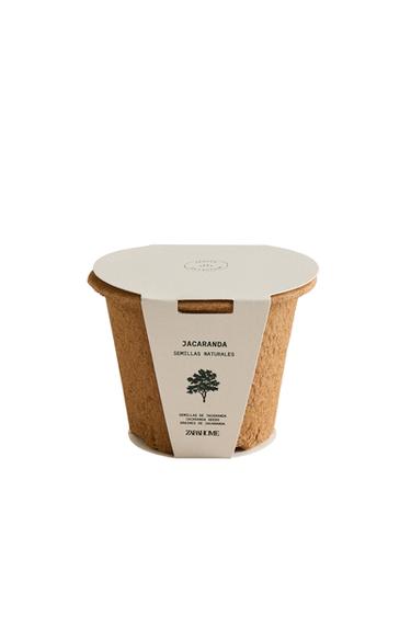 SÚPRAVA NA PESTOVANIE SEMIEN JACARANDY V ZÁHRADE - hnedá zn. Zara