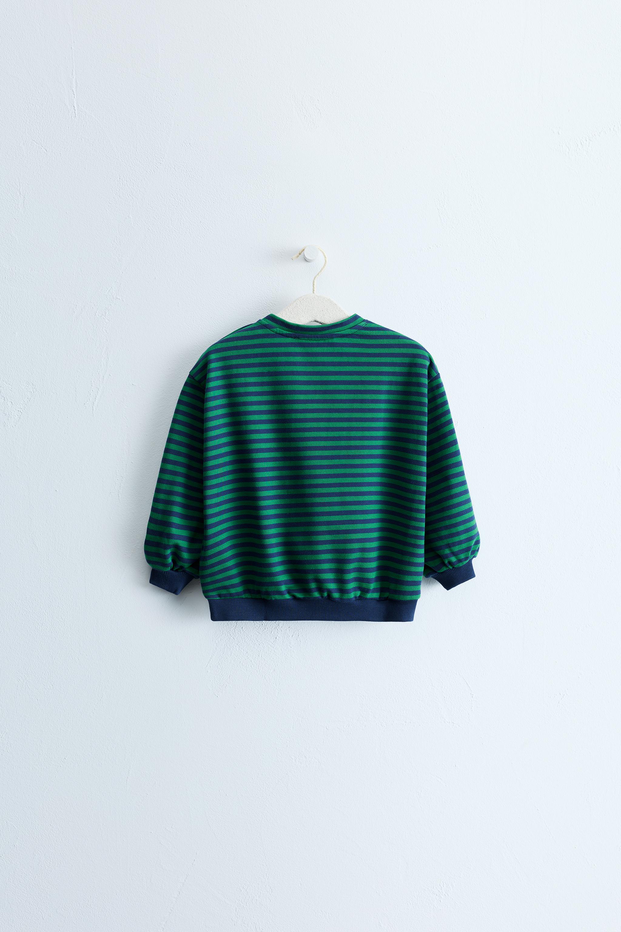 ZARA TIMELESS - STRIPED PRINT SWEATSHIRT — Gray green