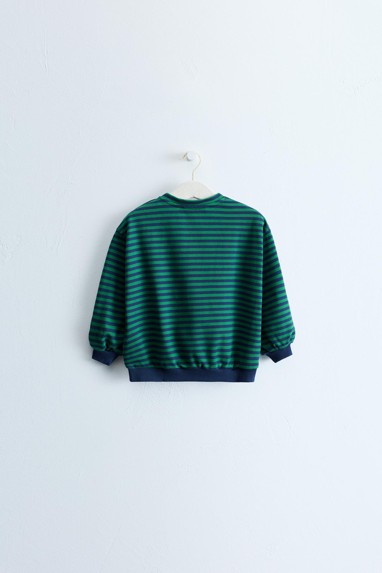 ZARA TIMELESS - STRIPED PRINT SWEATSHIRT — Gray green