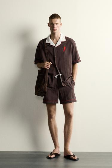 CAMISA RELAXED FIT AMB BRODAT DE BITXO - Xocolata de Zara