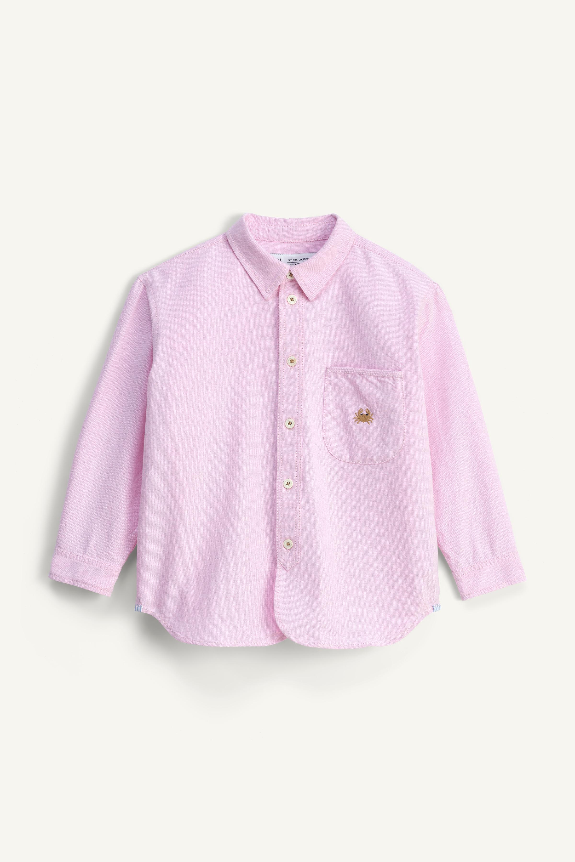 LIMITED EDITION EMBROIDERED OXFORD SHIRT - Pink | ZARA