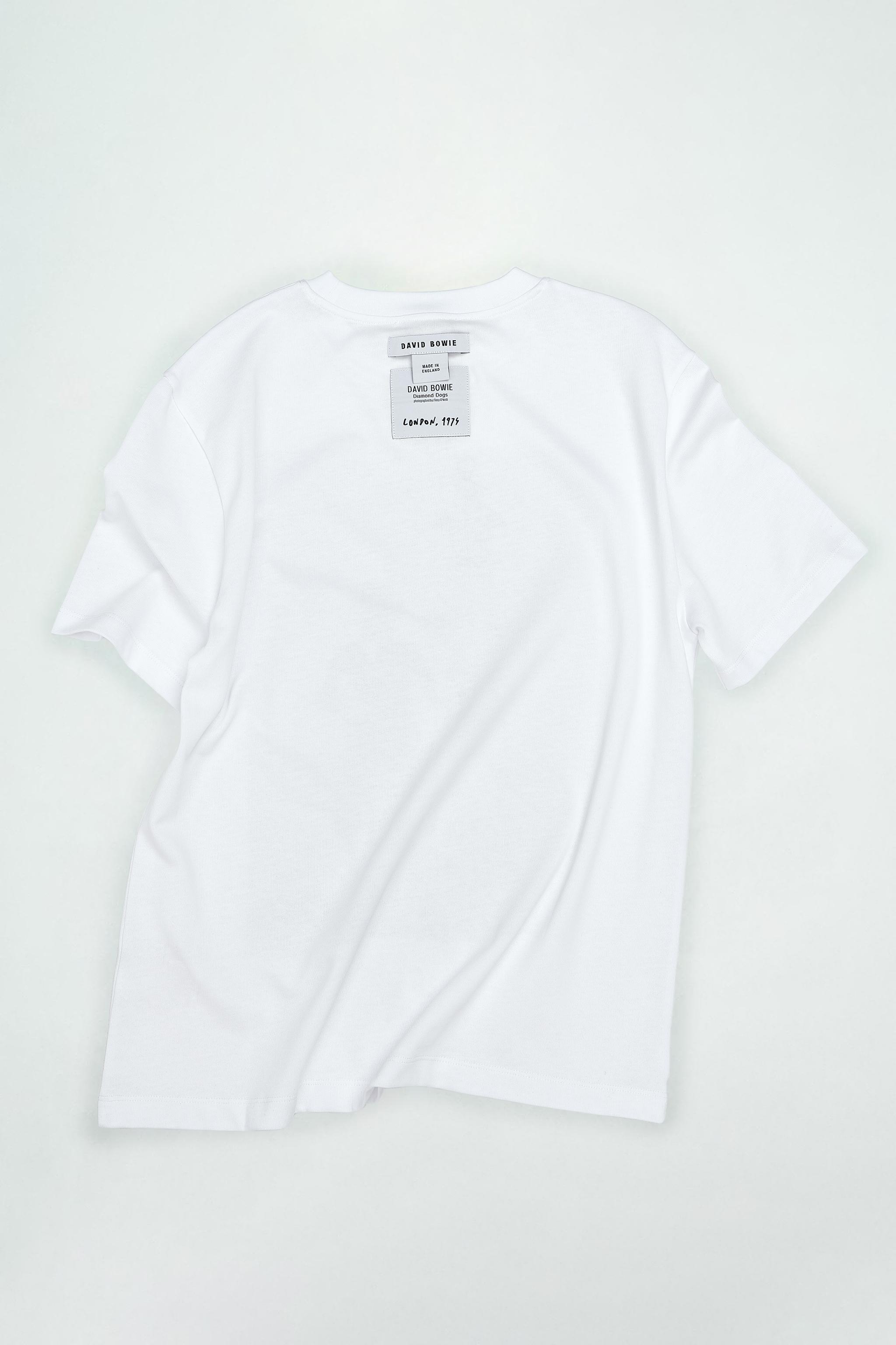 DAVID BOWIE PHOTOGRAPH T-SHIRT - White | ZARA United States