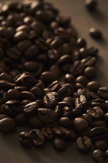 Zara (125 G) COFFEE CREAM SCENTED CANDLE - Sand