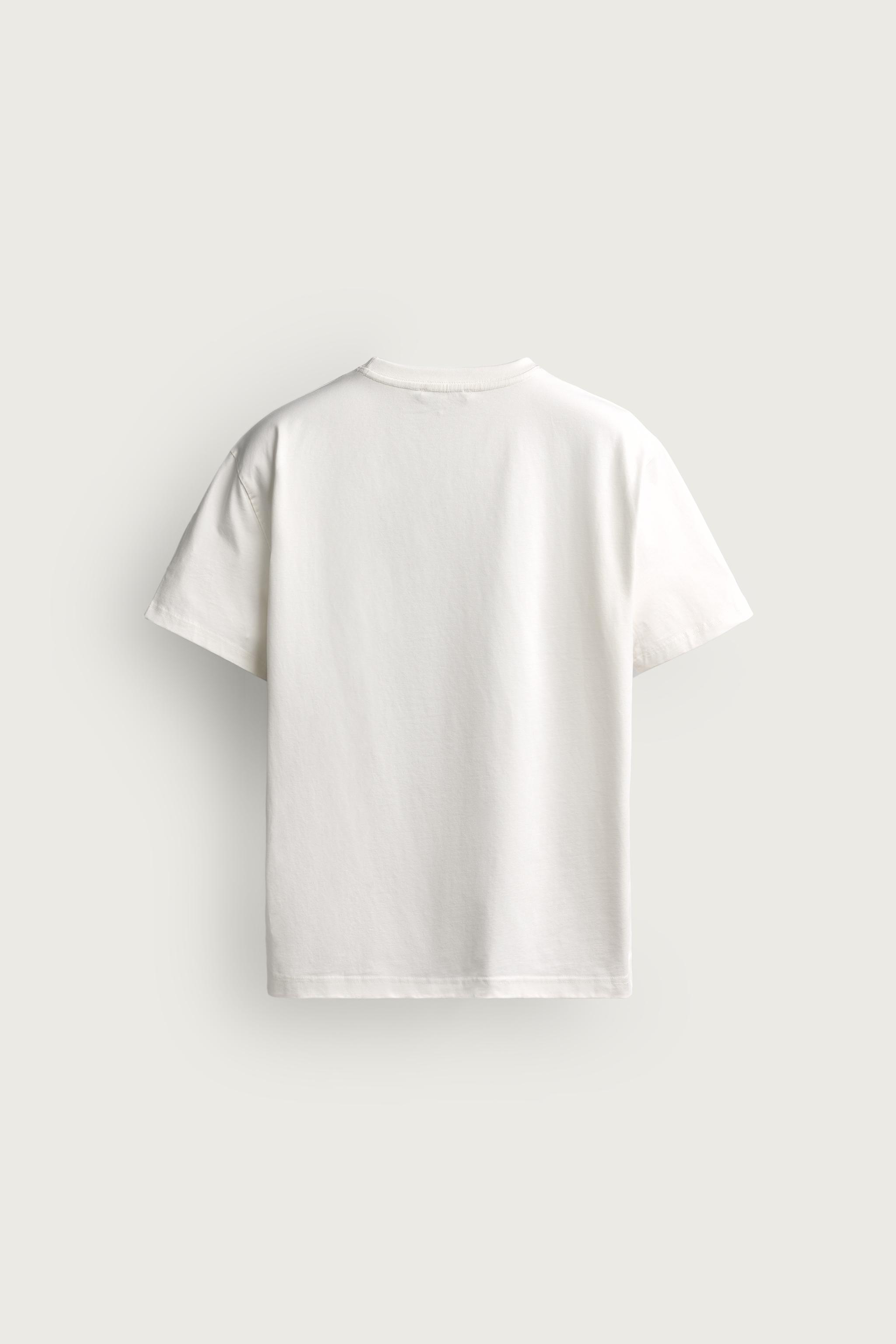 Zara BASIC MEDIUM WEIGHT T-SHIRT /02 görsel 7