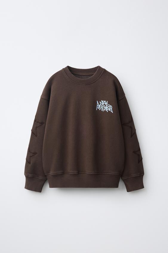 SUDADERA TEXTO ESTRELLAS BORDADAS - Marrón de Zara - Imagen 0