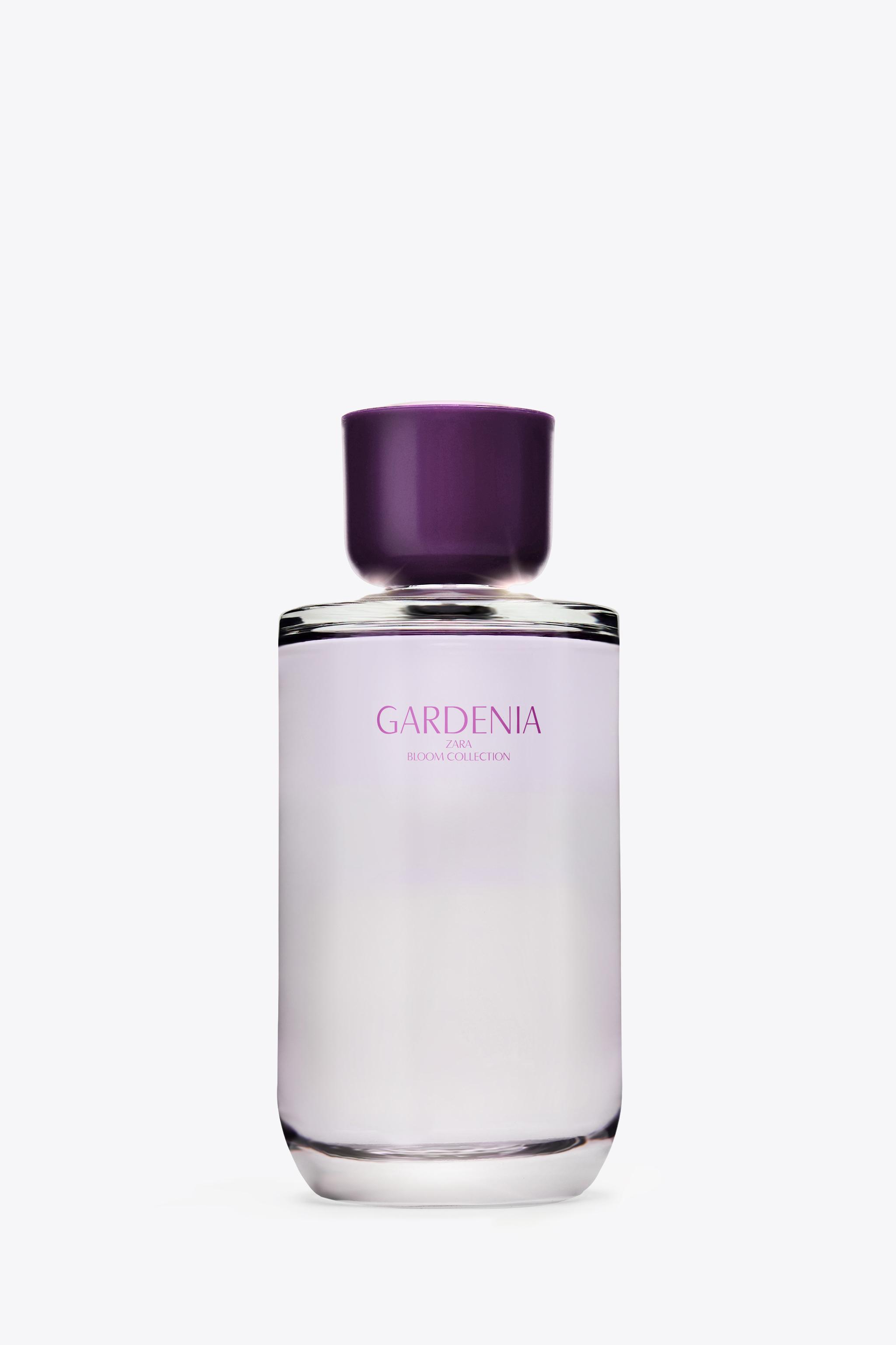 GARDENIA EDP 180 ML oz ZARA India
