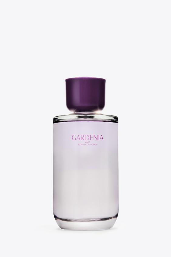 zara gardenia