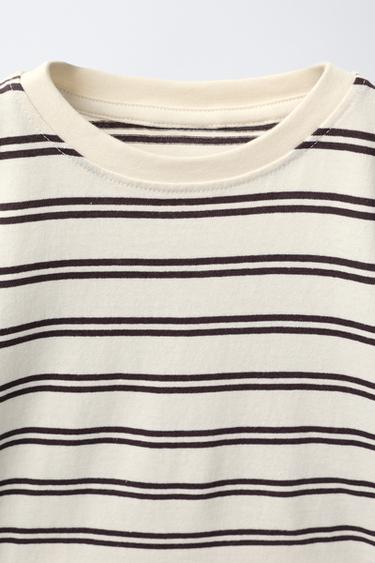 3-PACK OF PLAIN AND STRIPED T-SHIRTS - Brown by Zara - Image 3