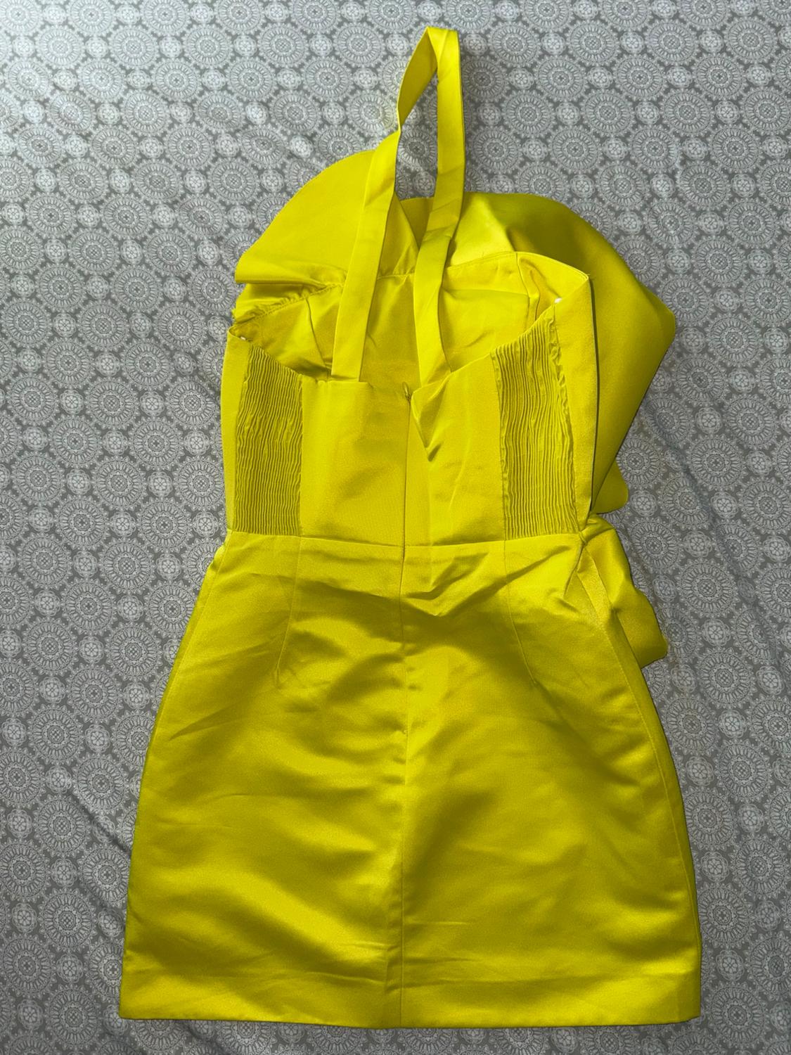 VOLUMINOUS MINI DRESS LIMITED EDITION - Image 2