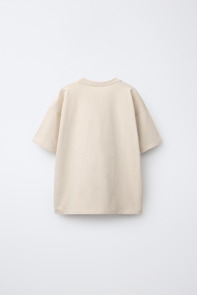 Camiseta lisa 2