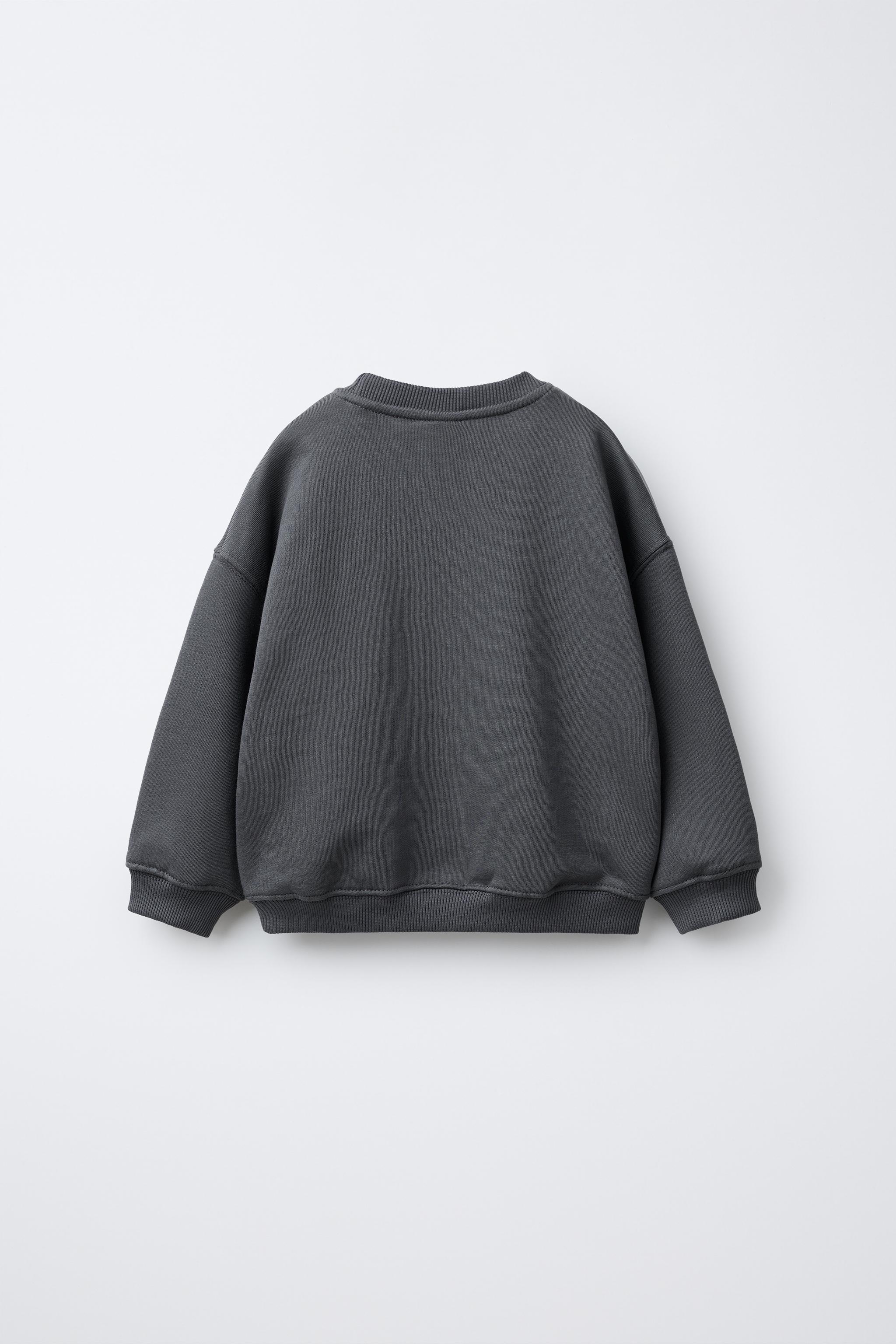 SUDADERA ESTAMPADO DINOSAURIO Gris ZARA Estados