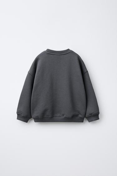 SWEAT À IMPRIMÉ DINOSAURE - Gris de Zara - Image 1