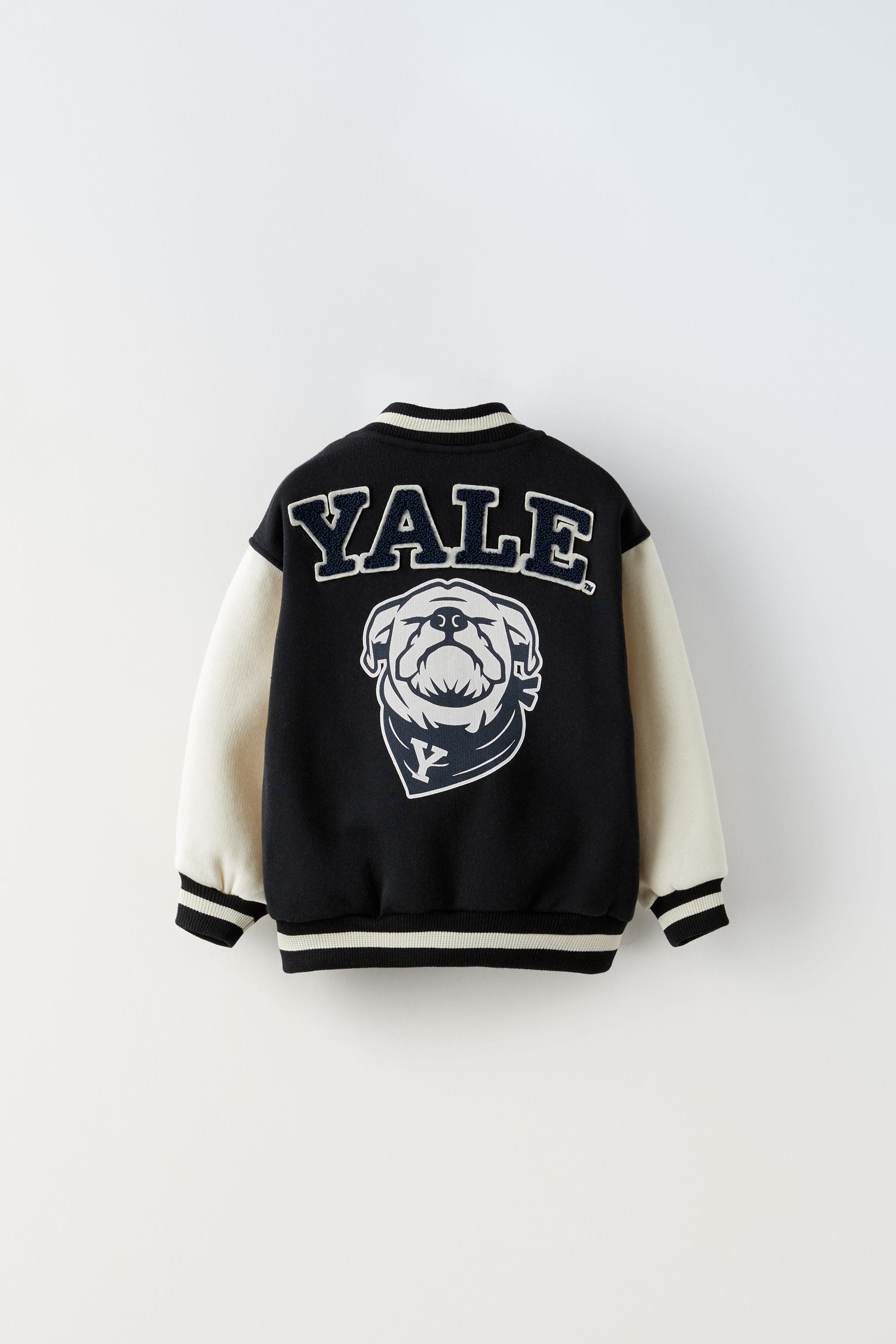 YALE® UNIVERSITY BOMBER JACKET - Black | ZARA South Africa