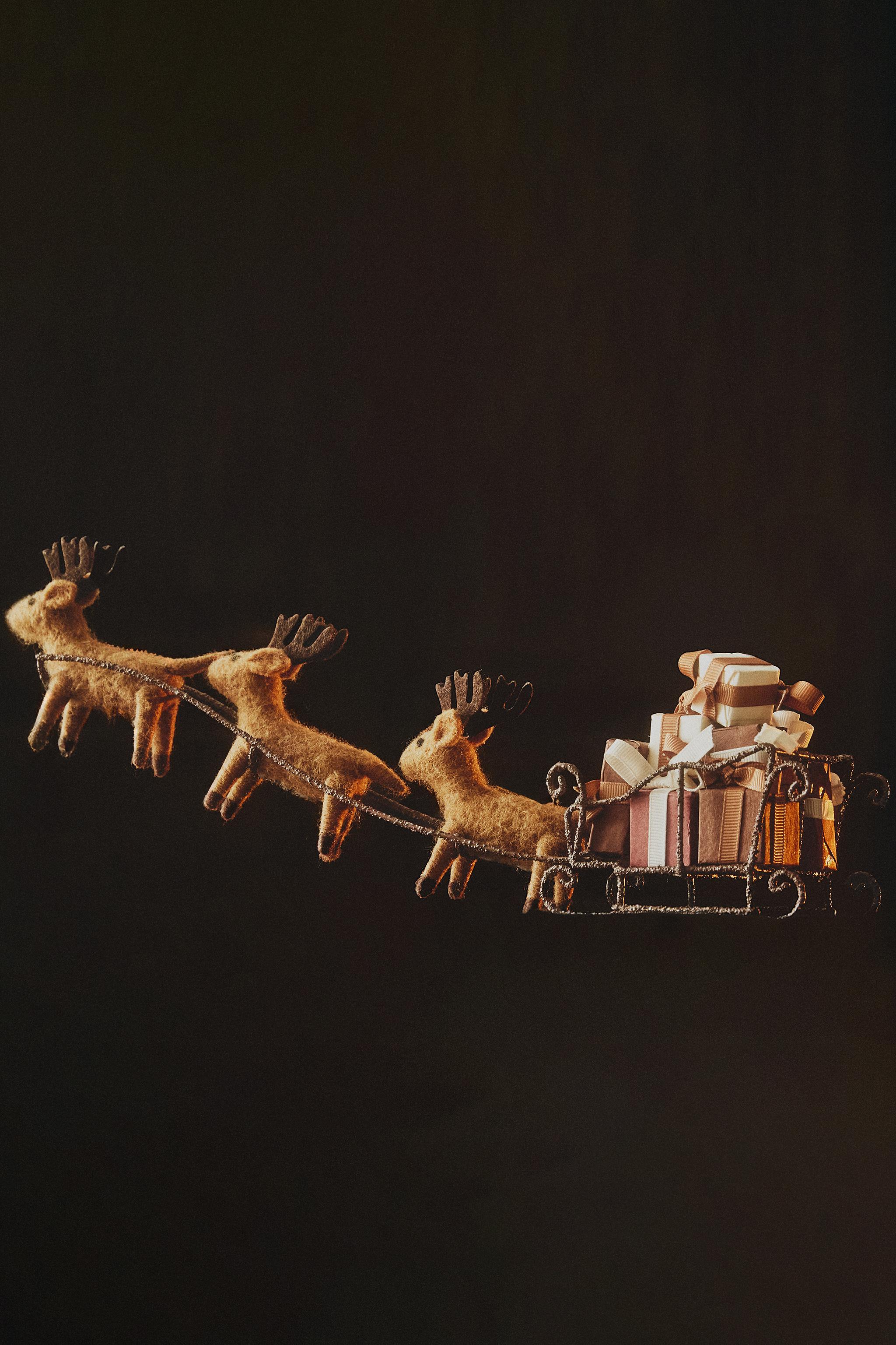CHRISTMAS SLEIGH AND REINDEER ORNAMENT