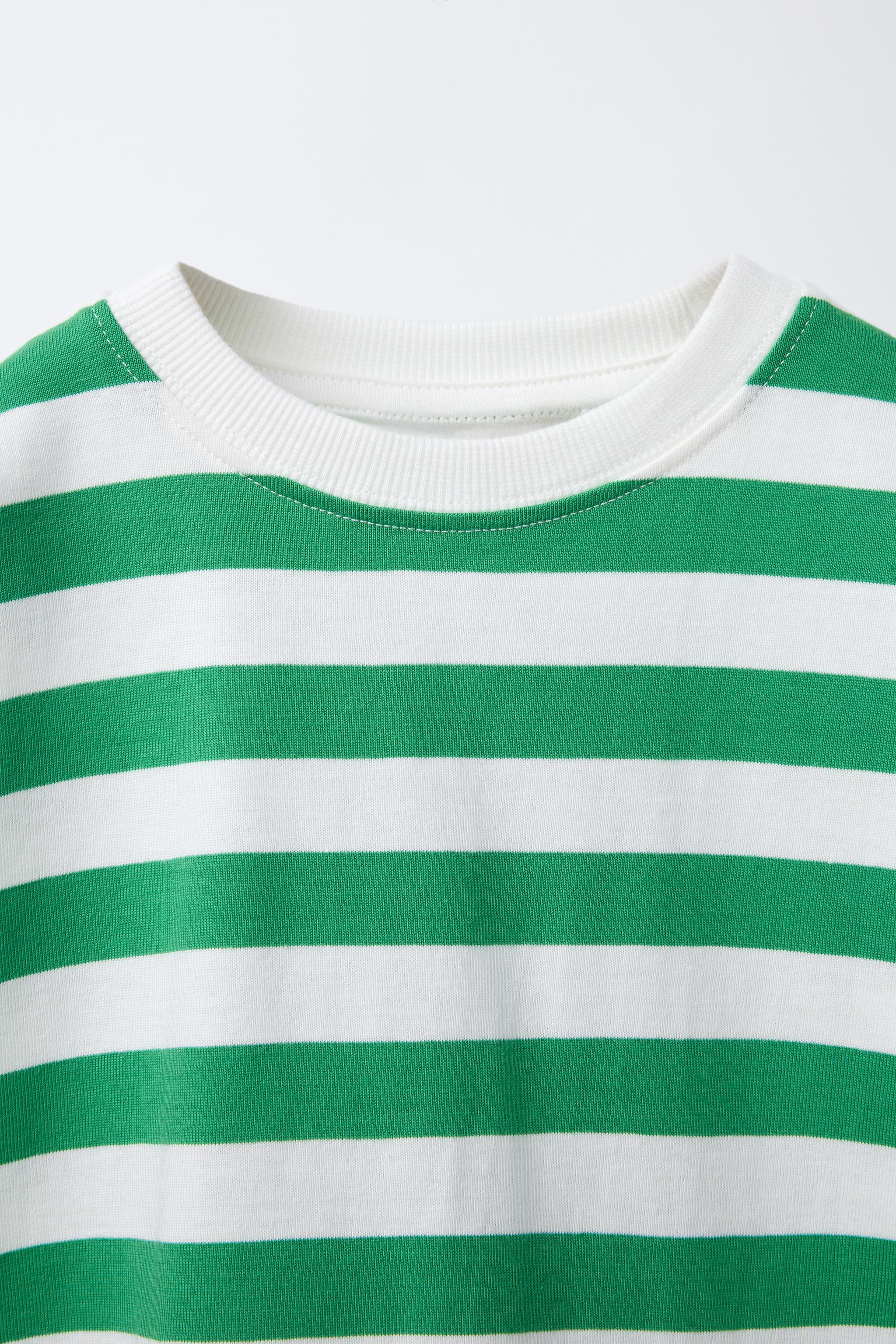 ストライプ柄プリントTシャツ - ブルー | ZARA Japan / 日本