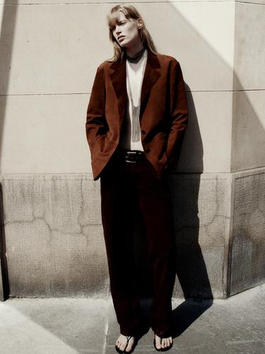 Imagen de producto - Visón oscuro de Zara - Imagen 0