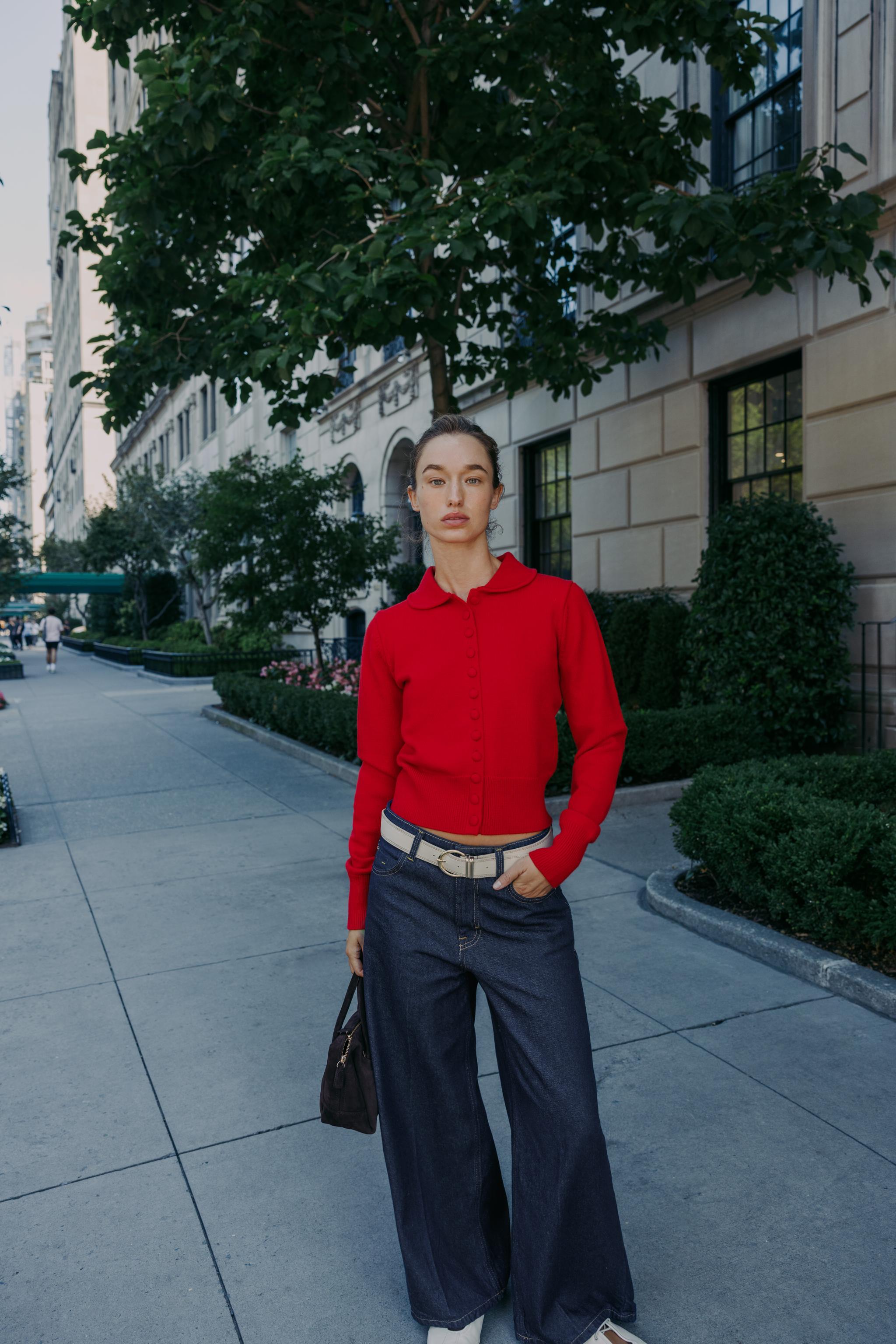 レッドバレンティノ　春ニットジャケット ピーターパンカラーニットジャケット - レッド | ZARA Japan / 日本