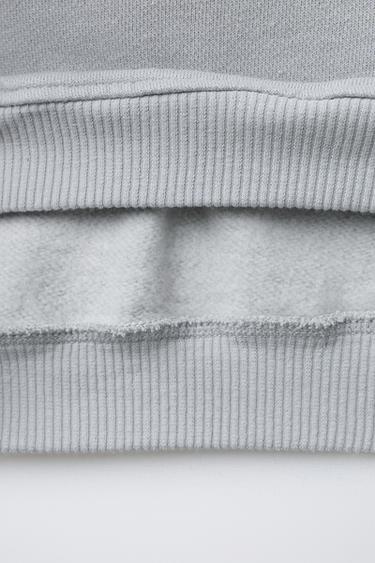 SWEAT IMPRIMÉ CAPIBARA CAPYFUN © - Iceberg de Zara - Image 3