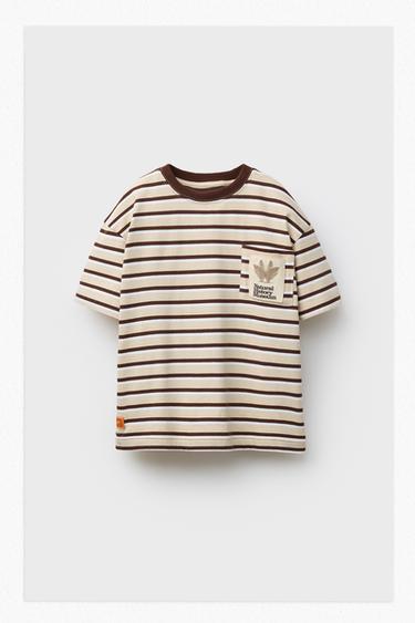 Zara NATURAL HISTORY MUSEUM LONDON © STRIPED POCKET T-SHIRT - striped