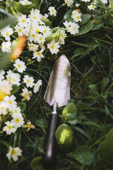 SMALL GARDEN PLANTING SHOVEL - Dark brown by Zara - Image 4