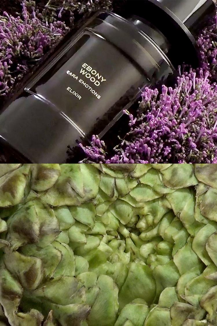Elixir Parfum de Madera de Ébano 100 ML / 3.4 FL. OZ. 4