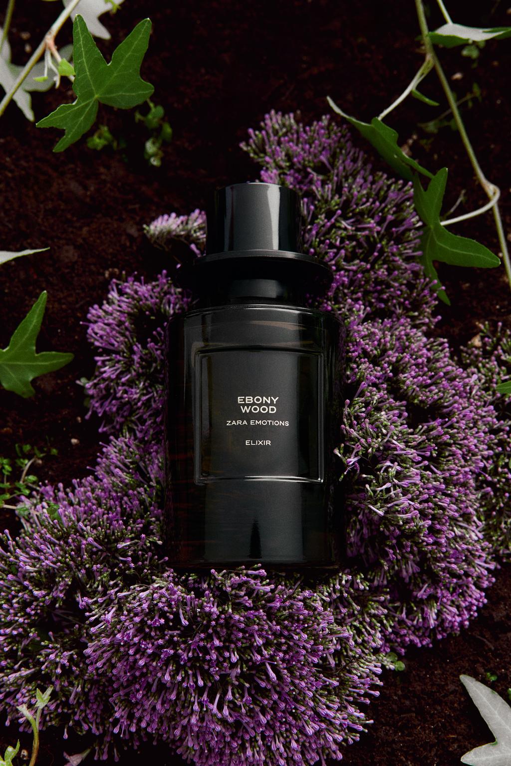 Zara EBONY WOOD ELIXIR PARFUM 100ML (3.4 FL.OZ).