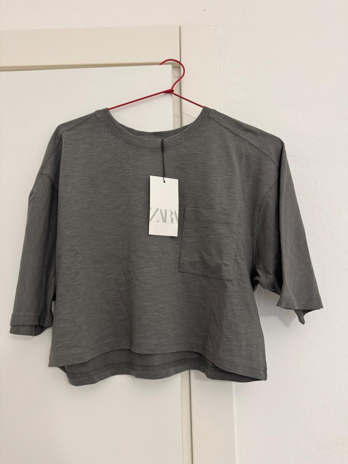 Grey short-sleeved t-shirt hanging on a red hanger, with visible ZARA tag, on a white background.