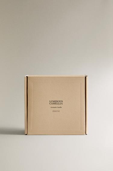 (540 G) LUMINOUS CAMELLIA SCENTED CANDLE - Light pink by Zara - Image 4