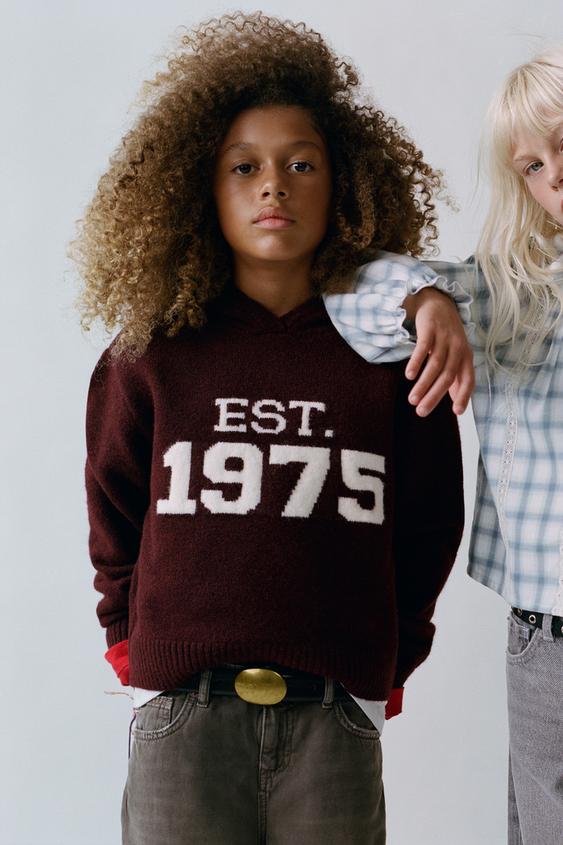 SUÉTER PUNTO CAPUCHA ESTAMPADO - Burgundy de Zara - Imagen 0