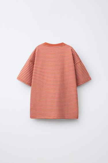 T-SHIRT À RAYURES ET INSCRIPTION BRODÉE - Tuile de Zara - Image 1