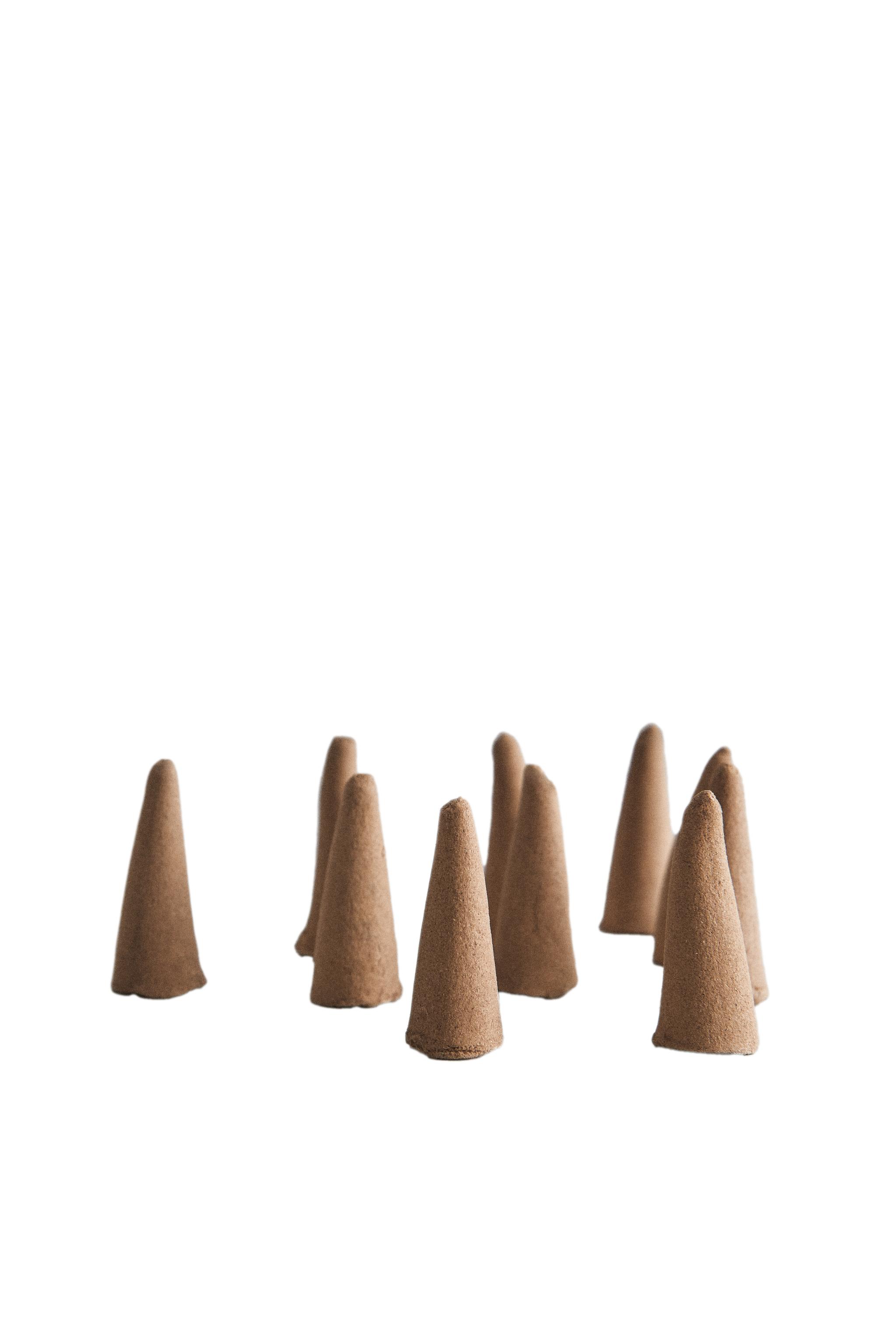 SACRED WOODS SET OF SCENTED INCENSE CONES (SET OF 10) - Oyster
