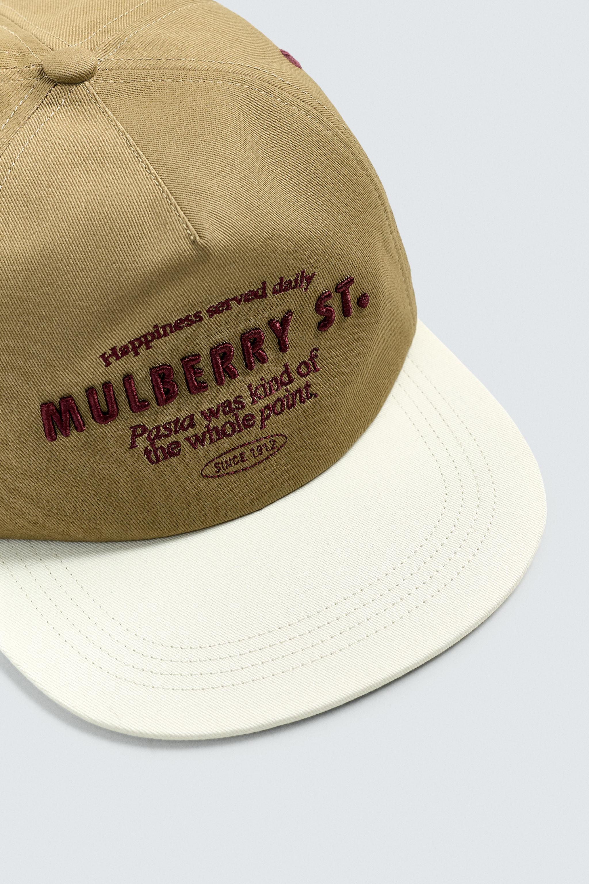 EMBROIDERED FLAT VISOR CAP - taupe brown | ZARA United States