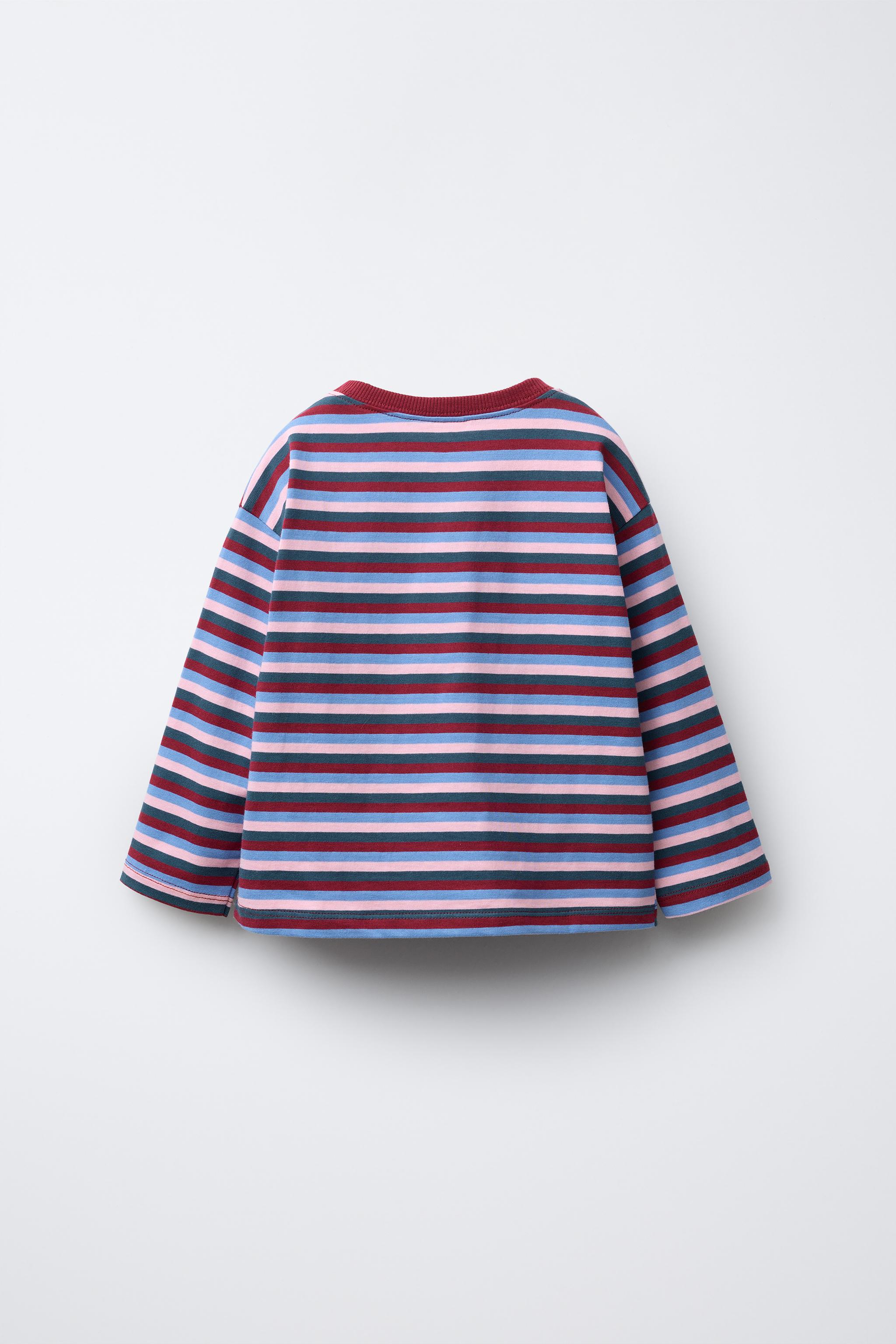 ストライプ柄織地刺繍Tシャツ - マルチカラ― | ZARA Japan / 日本
