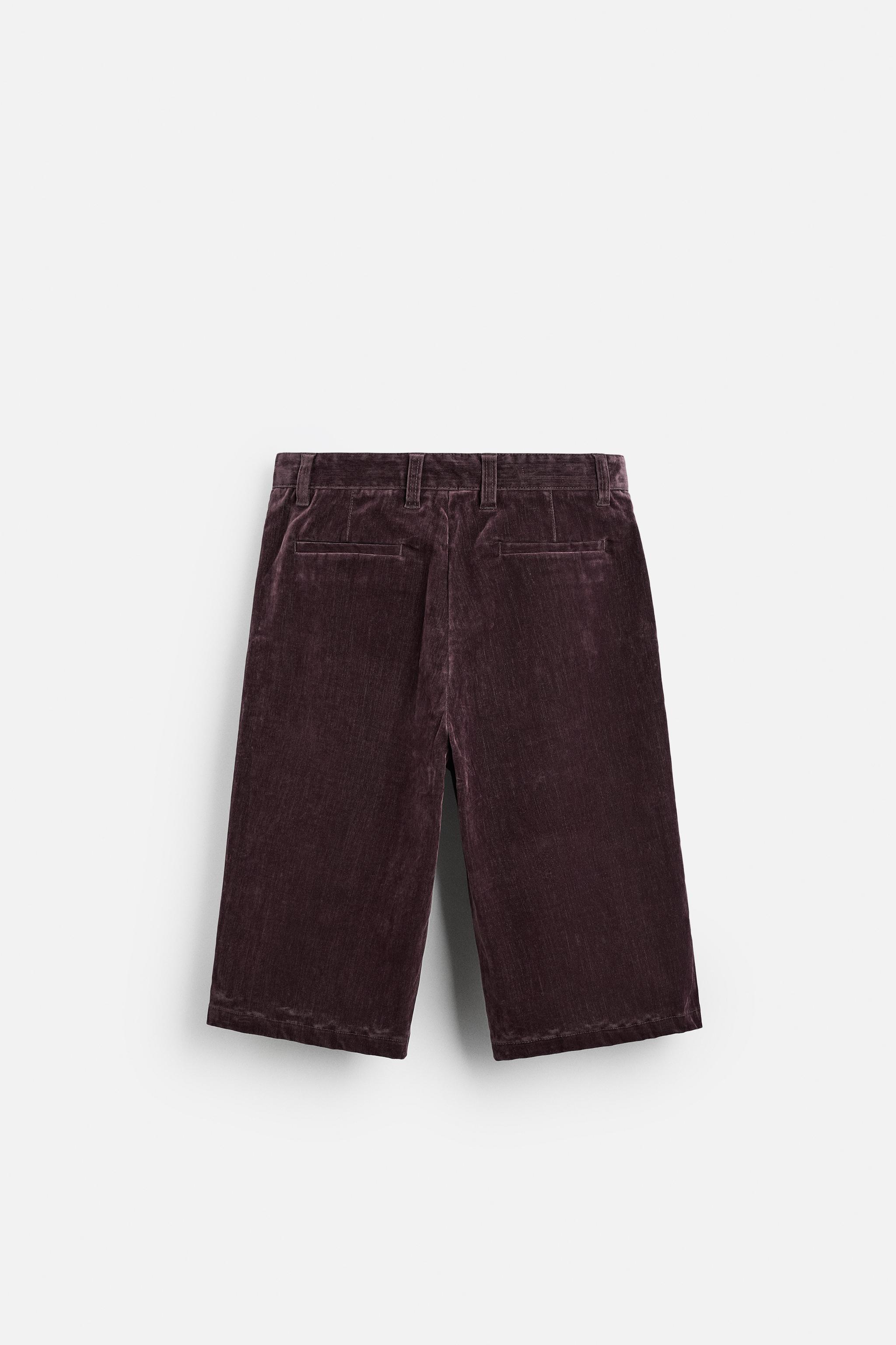 LIMITED EDITION VELVET SHORTS - Eggplant | ZARA United States
