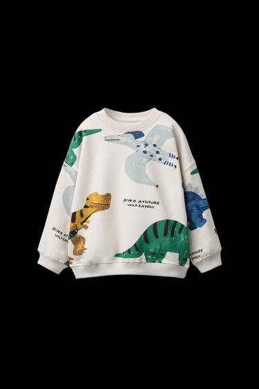 SUDADERA ESTAMPADO DINOSAURIOS - Hielo de Zara