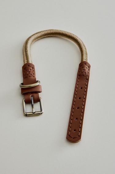 LEATHER AND ROPE DOG COLLAR - أخضر الخاص بـ Zara
