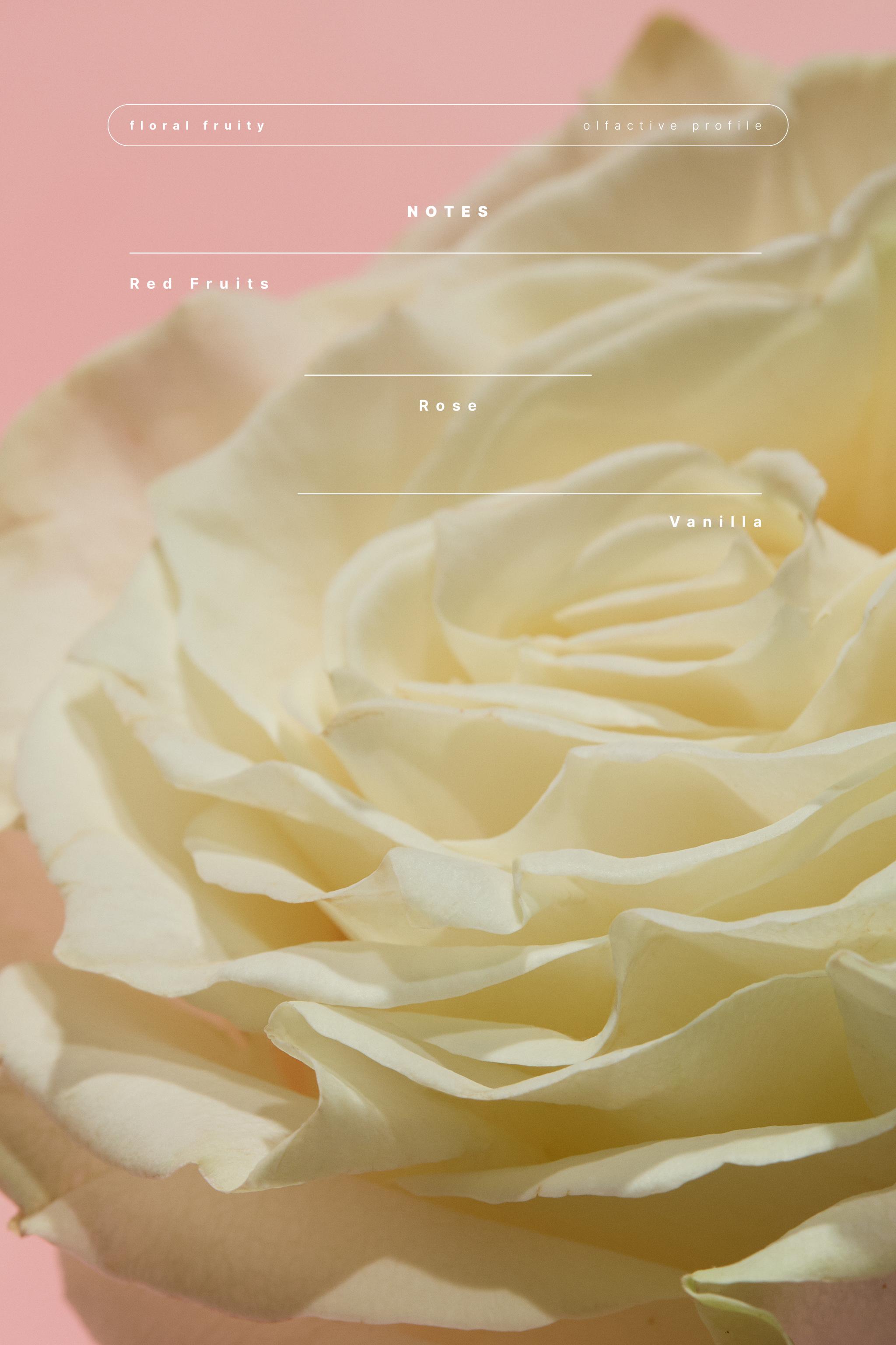 WONDER ROSE EDT 30ML (1.01 FL. OZ).