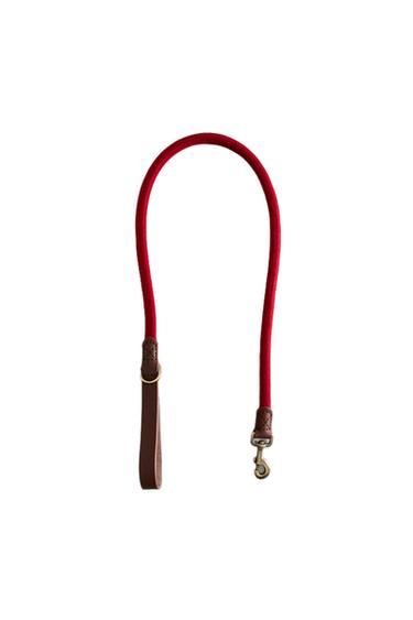 CORREIA DE CORDA E COURO PARA CÃES - Vermelho da Zara