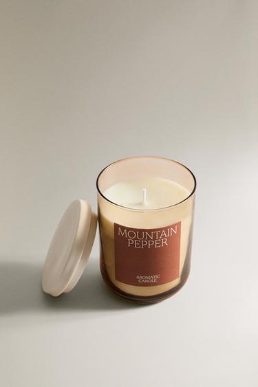 (250 G) MOUNTAIN PEPPER SCENTED CANDLE - Burgundy by Zara - Image 1
